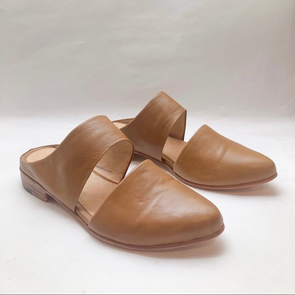 Zou Xou Mules in Desert (37 / 6-6.5)